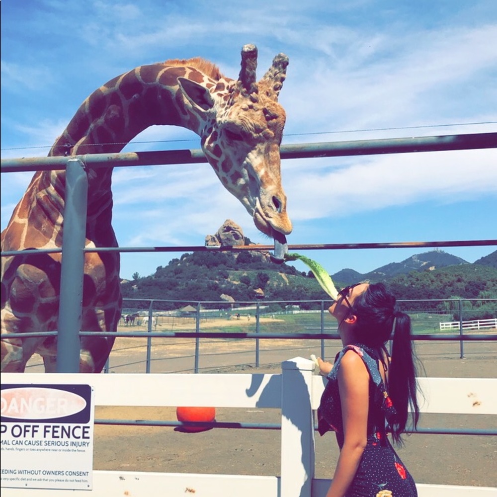 Meet your Posher, Amanda